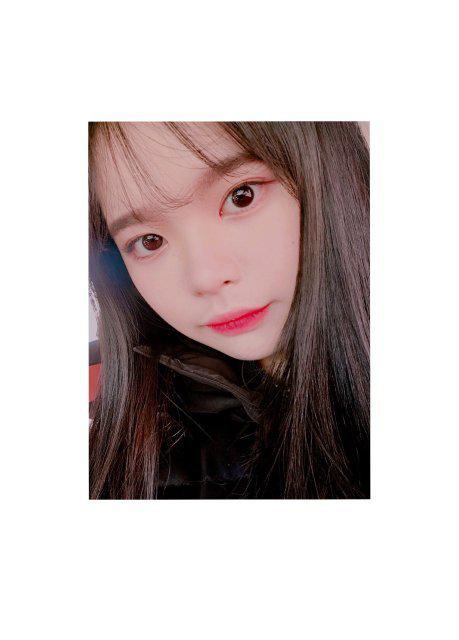 앙양엉양 프로필