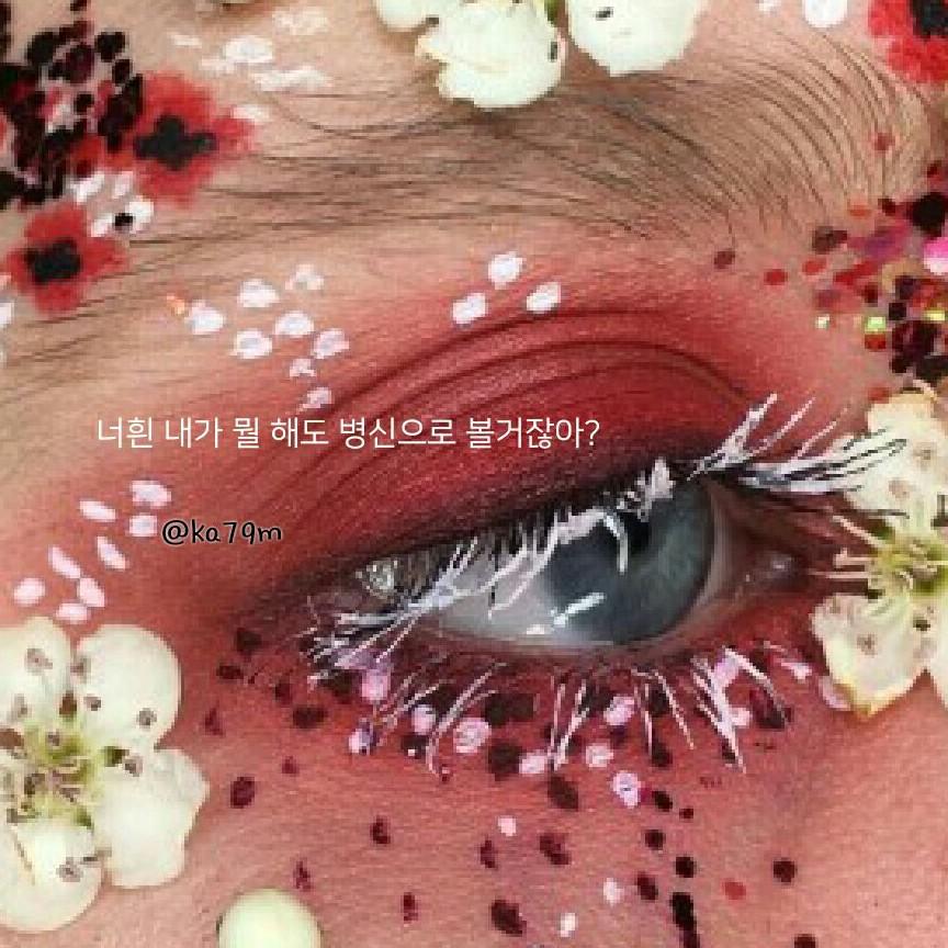 세로니아 프로필