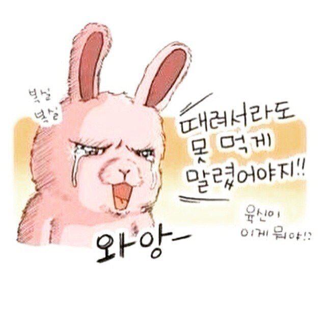 hamutor 프로필