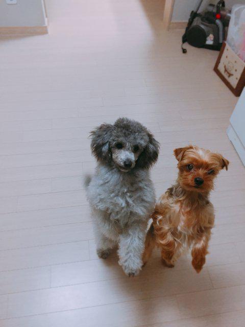 리뷰어 프로필