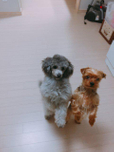 윤봄s