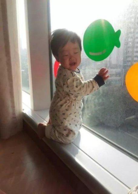 까오민팅 프로필