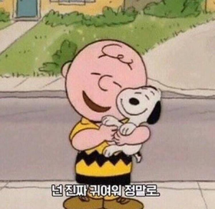 쑤콩이 프로필