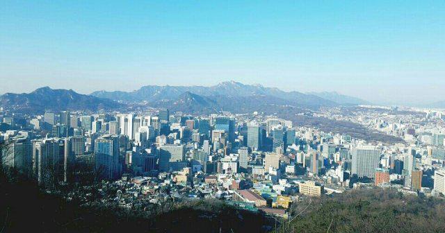 푸른목도리 프로필