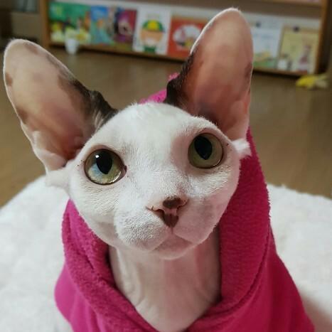 워너원love연우 프로필