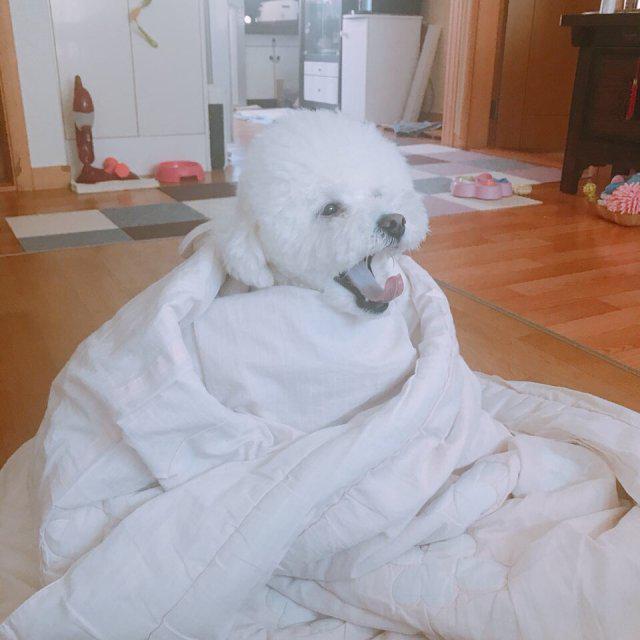 짱짱짠 프로필