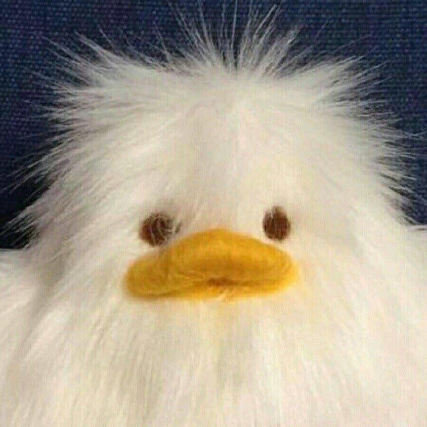 우엥ㅔ 프로필