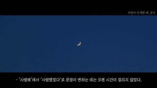 kdj0126 프로필