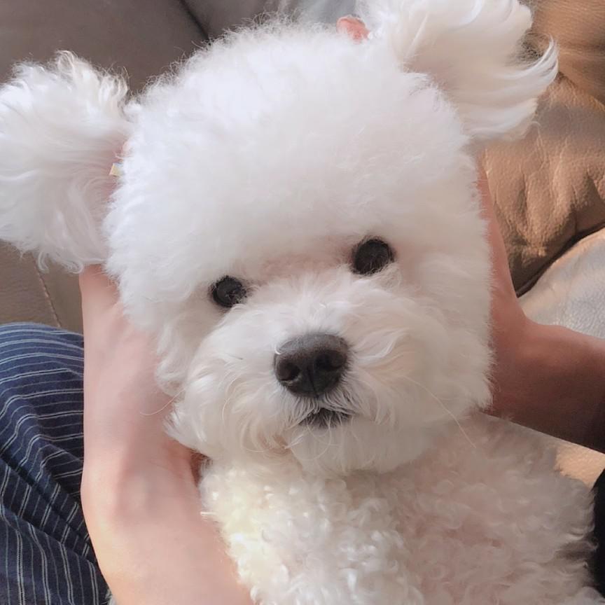 리뷰어 프로필
