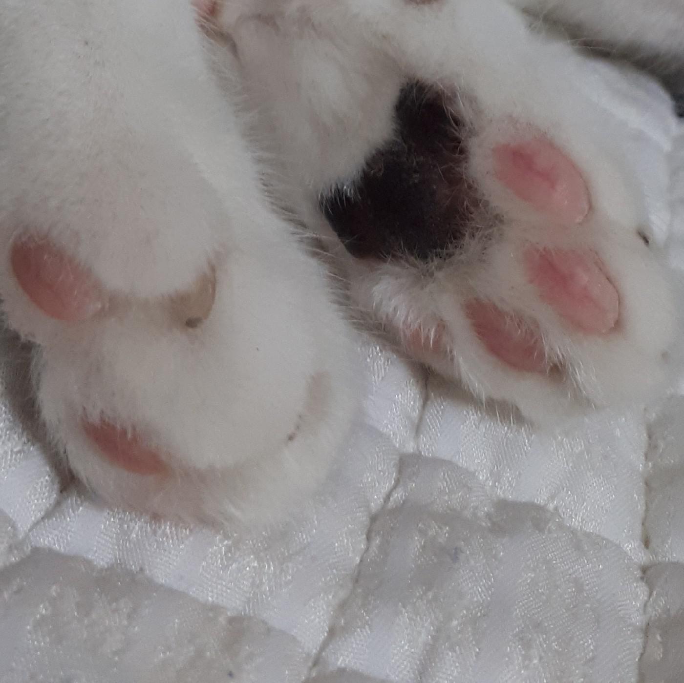 jarun 프로필