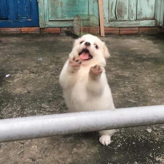 연햇님 프로필