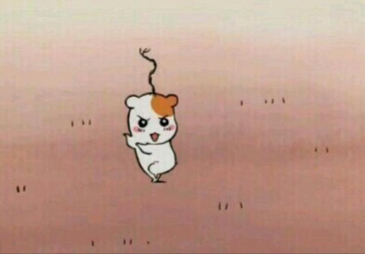 예잉이이 프로필