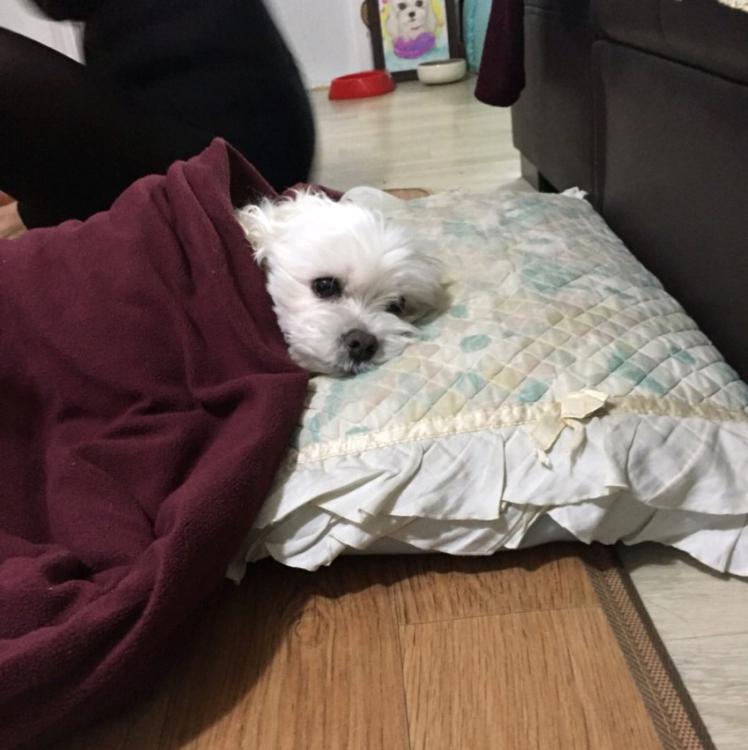 닉넴을멀로행 프로필