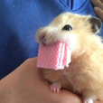 ㅔㅣㅕ