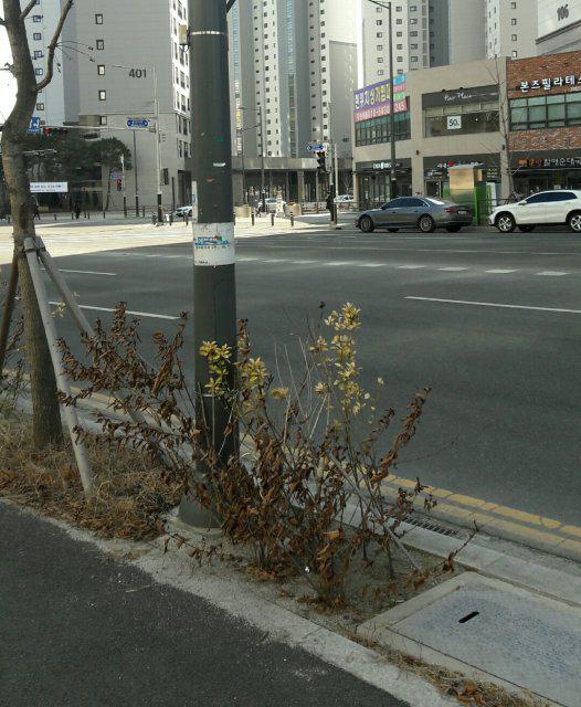 이리닌 프로필