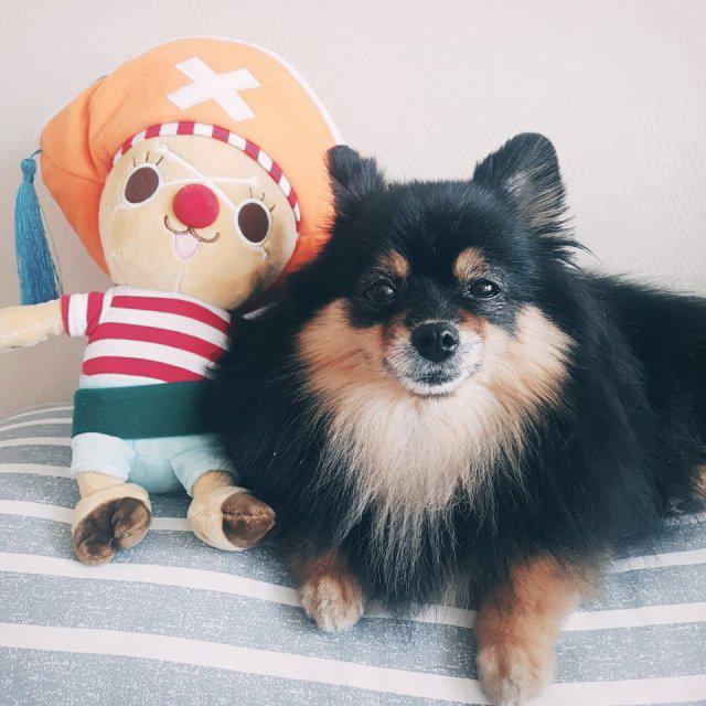 잇템유목민 프로필