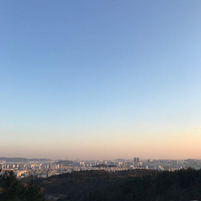 세미코덕 프로필