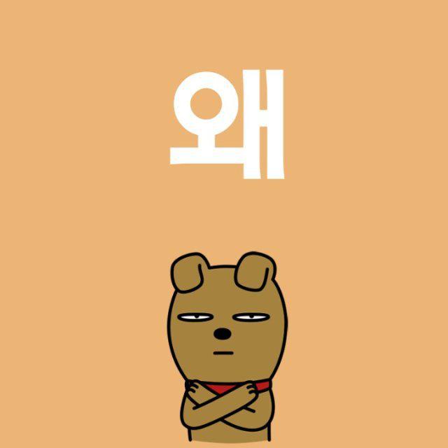 리뷰어 프로필