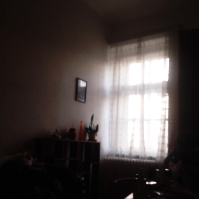 amyyyyyyyy 프로필