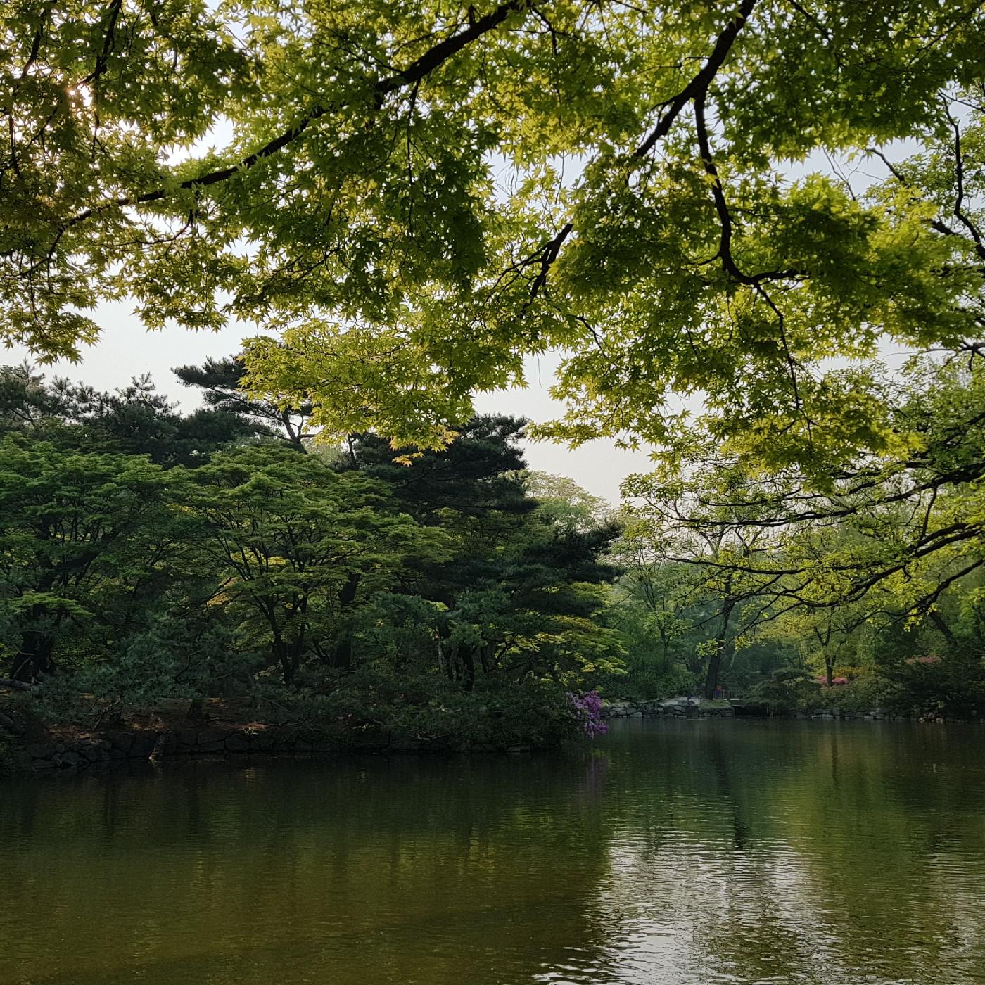 다노르 프로필