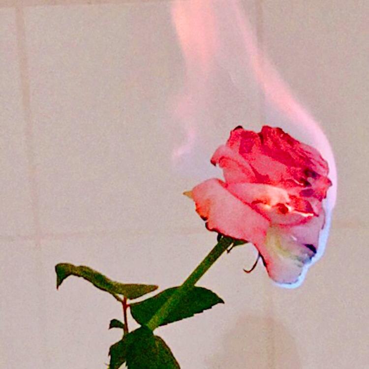 마이구묨 프로필