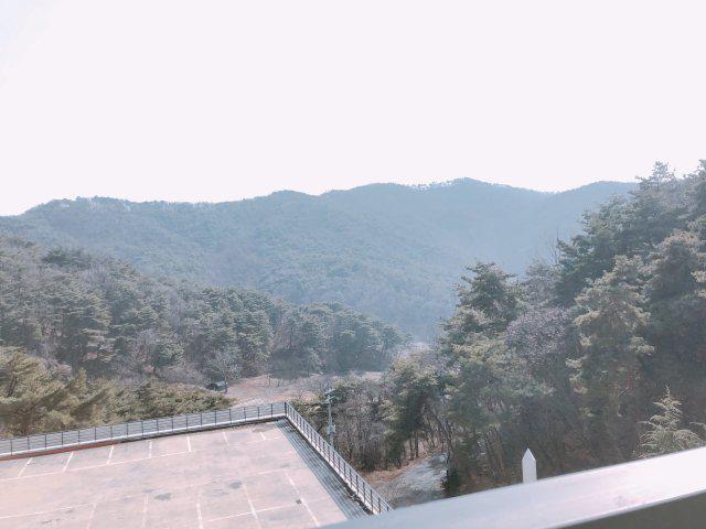 무늬누나 프로필