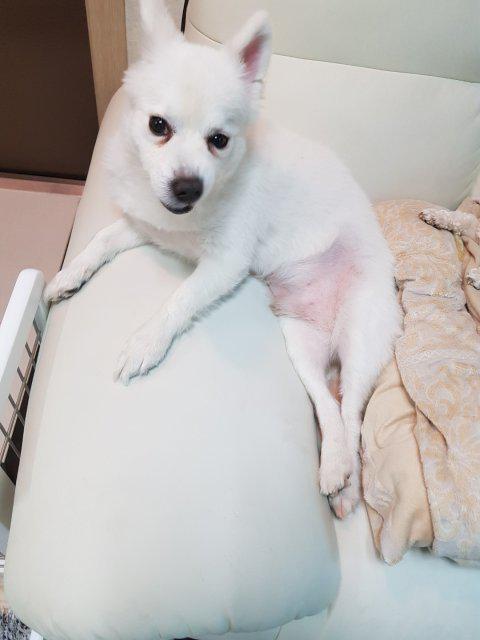 sso___ 프로필
