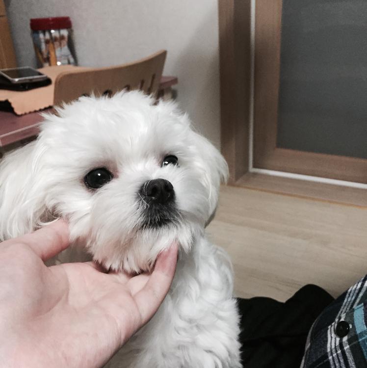 hj0413 프로필