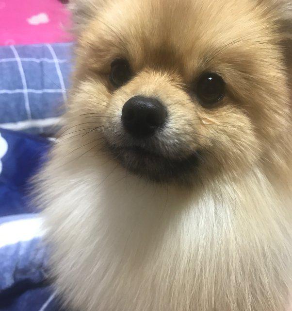 주야에용 프로필