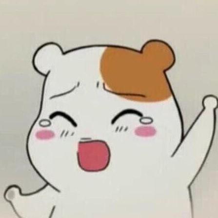 삐요깅 프로필