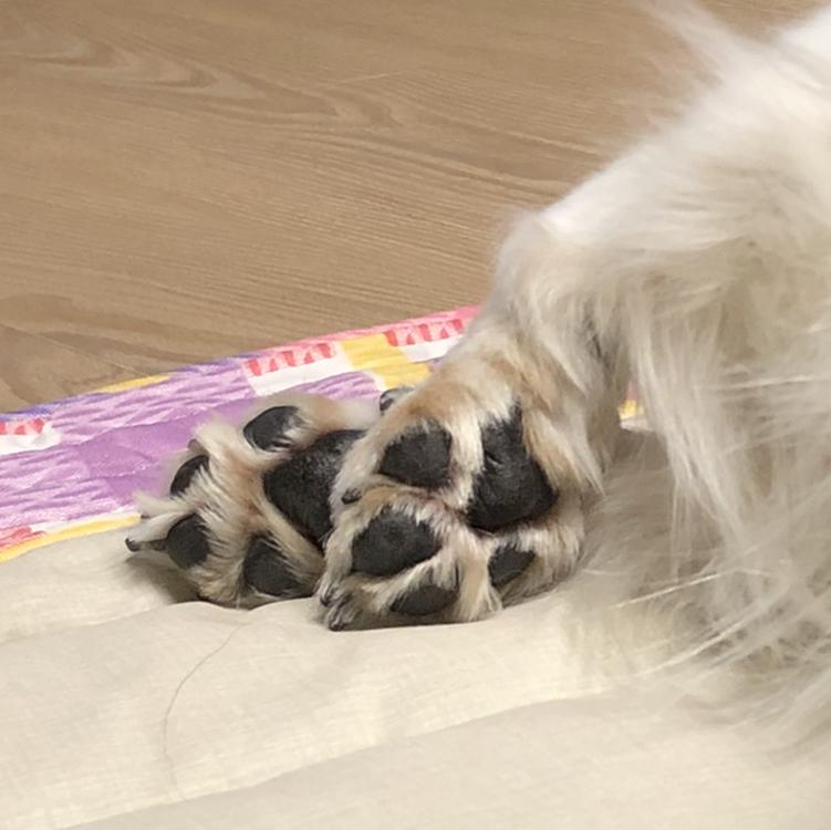 다시태어남 프로필