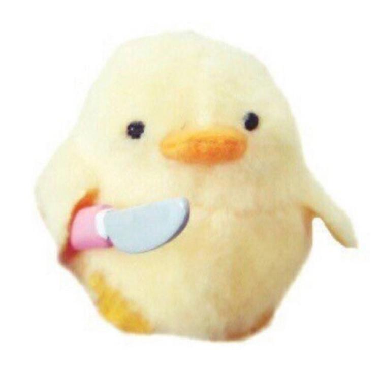 디고 프로필