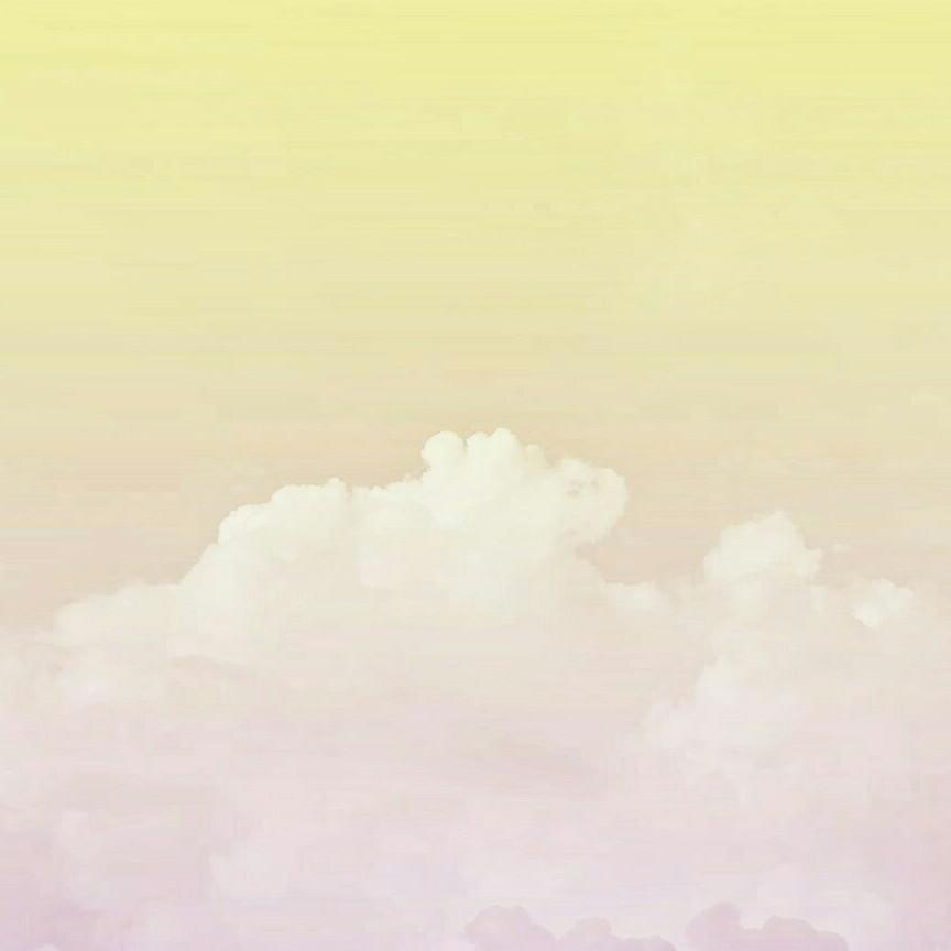 flora5842 프로필