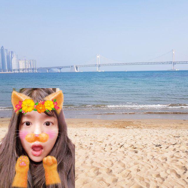 분홍달 프로필