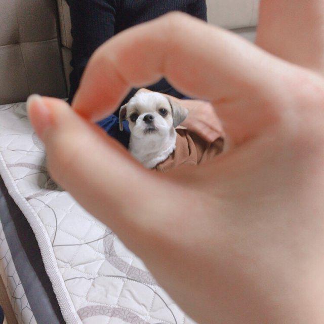 쑹늉 프로필