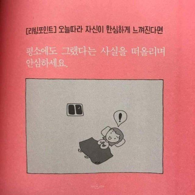 hjne 프로필