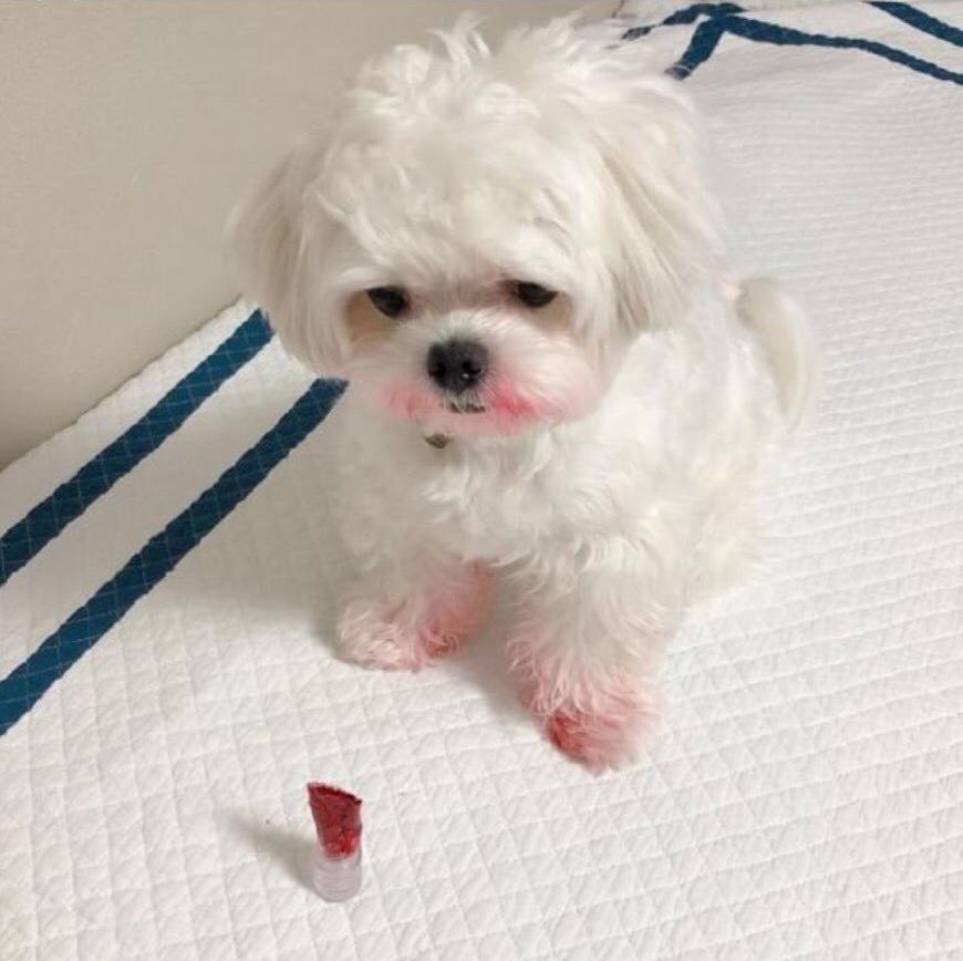 1일5식 프로필