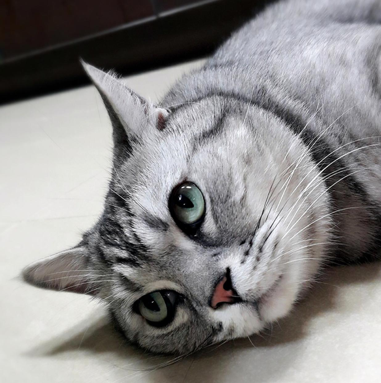 정스카 프로필