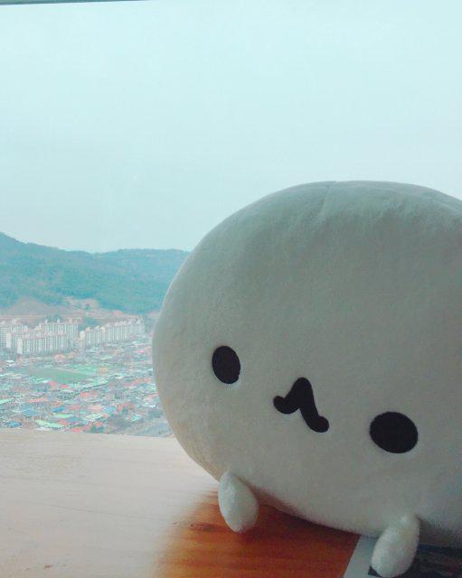 릴리센 프로필