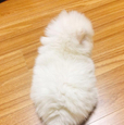 꾸늉