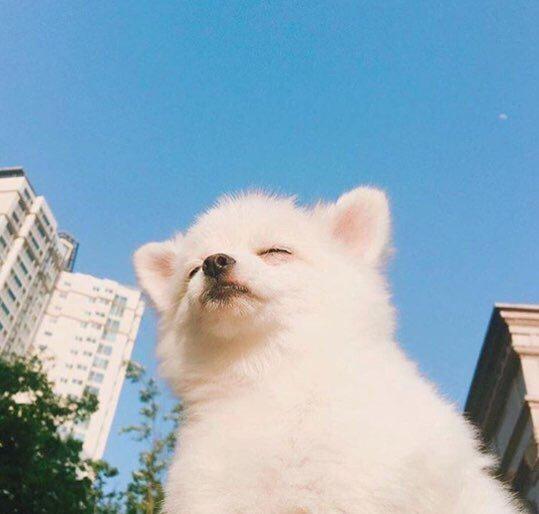 540 프로필