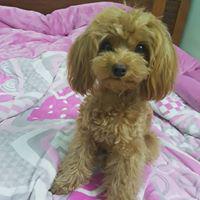 찐깨비 프로필