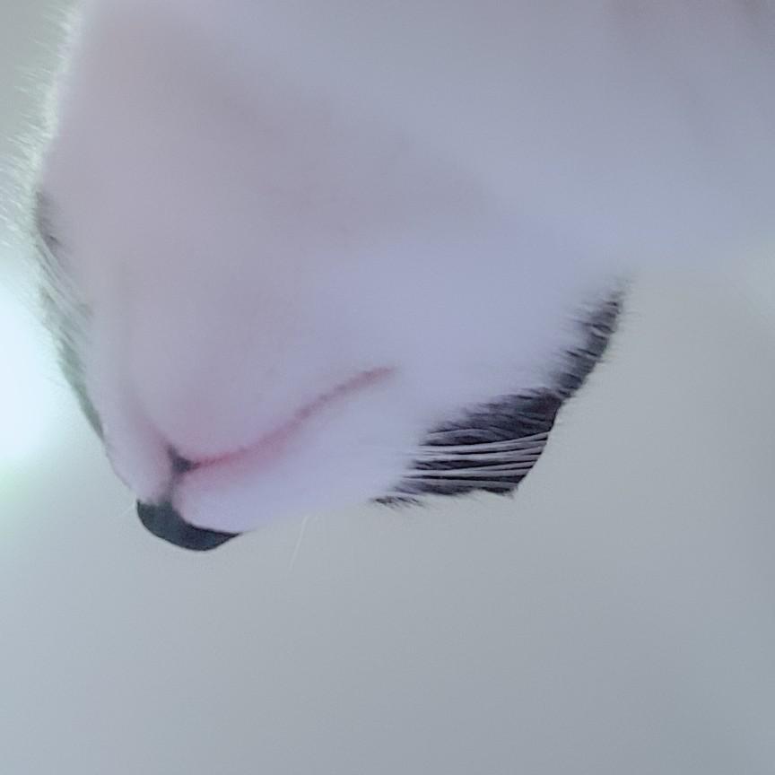 곰탕재료푸우 프로필