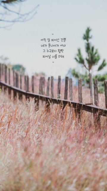 mh065437 프로필