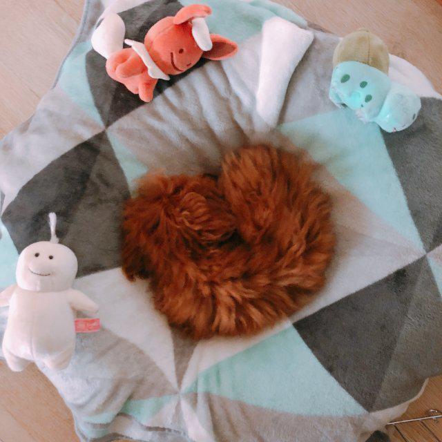 mingzii 프로필
