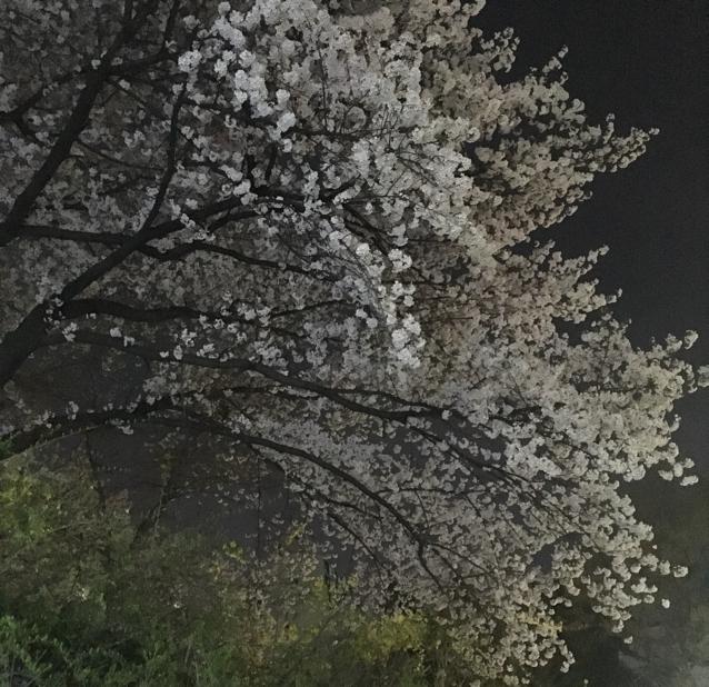 리뷰어 프로필