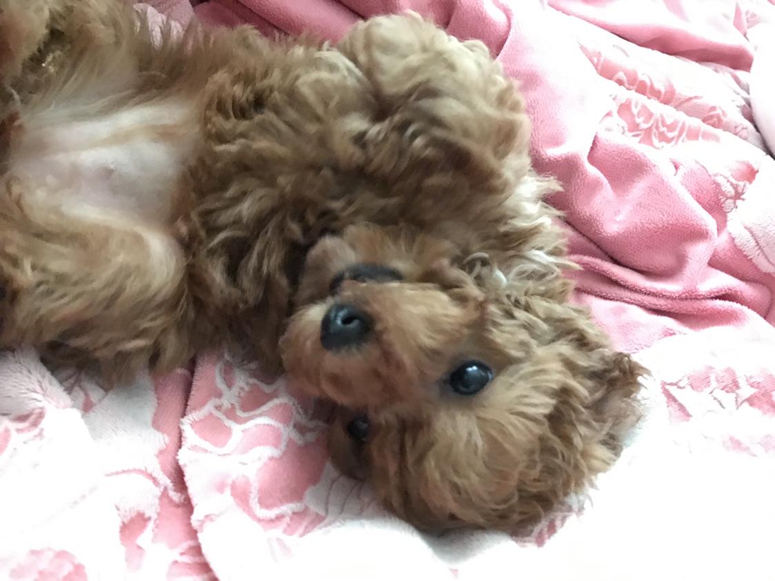 리뷰어 프로필