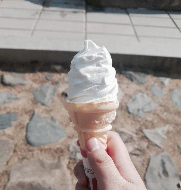 김센누 프로필