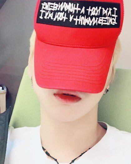 어핏치둥둥 프로필