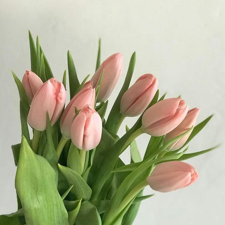 leeyubin 프로필